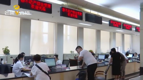 常德公開中介服務機構名單 助市民辦事查詢更便捷