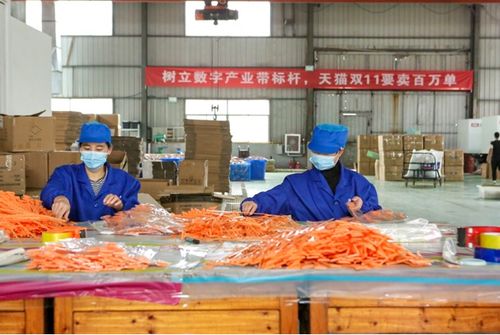 全球最大的小商品產(chǎn)業(yè)帶義烏,全力備戰(zhàn)天貓雙11